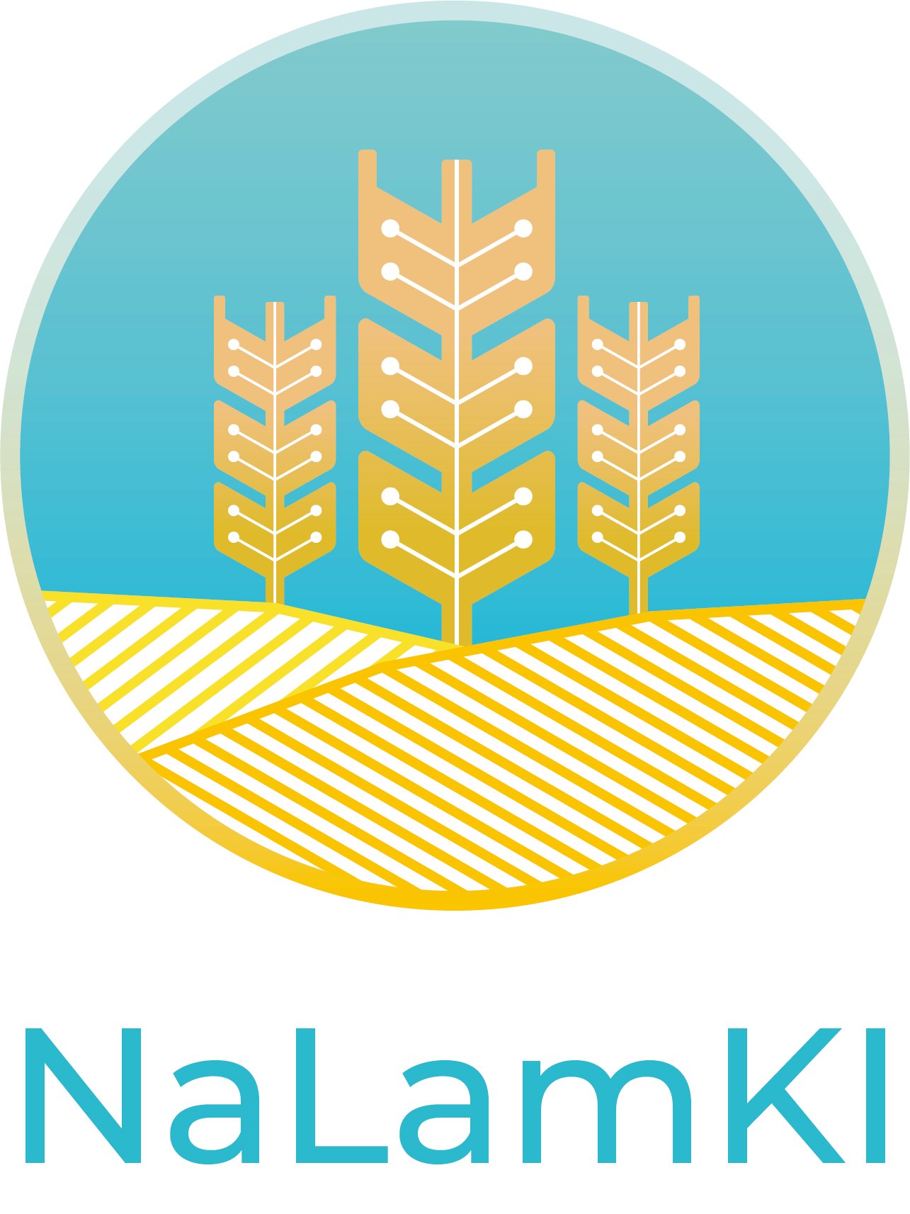 NaLamKI Logo
